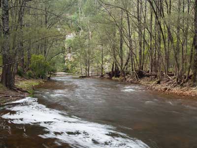 Kowmung River
