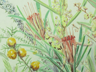 Floral Diary 1961