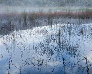 Thirlmere Lakes