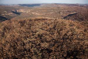 State Mine Gully Fire