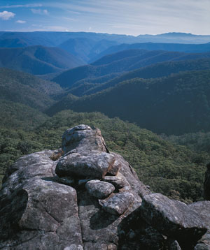 Valley of the Kowmung