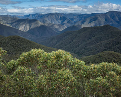 Splendour Rock