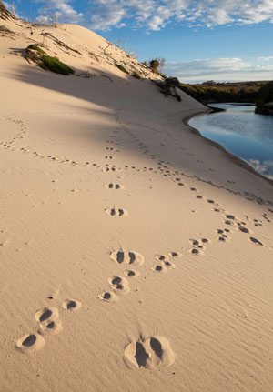 Tasmanian Wilderness WHA