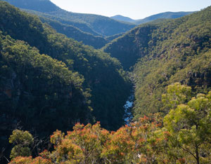 Lower Wollangambe River