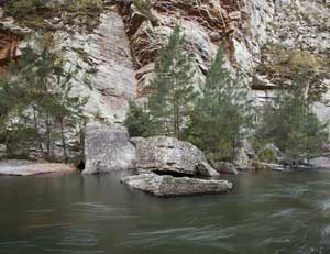 Metasediments, Kowmung River