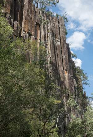 Barrallier Ignimbrite