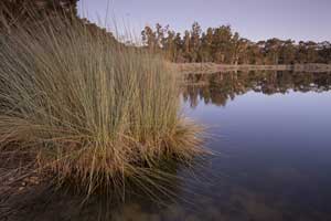 Glenbrook Lagoon