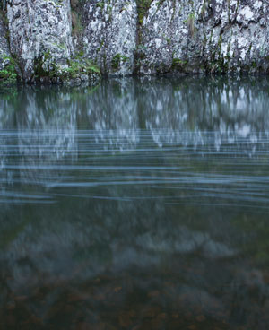 A slowly-flowing reach