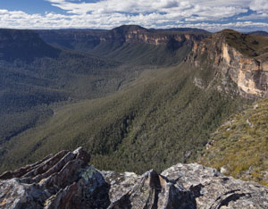 Blue Gum Forest from The Fortress