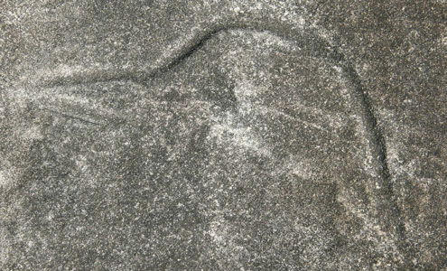 rock Engraving