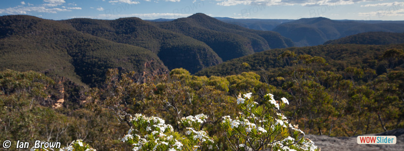 6. Capertee/Wolgan Rivers junction